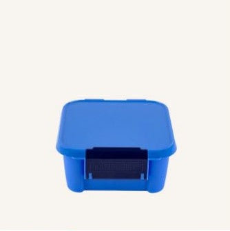 Little Lunch Box Co - Bento Two - Blueberry