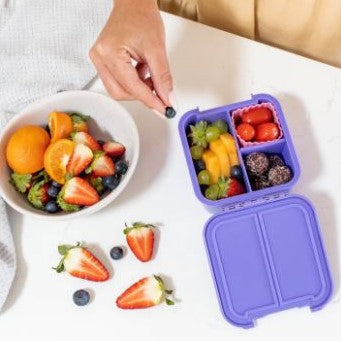 Little Lunch Box Co - Bento Two - Grape