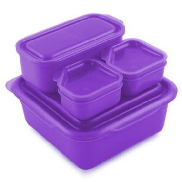 Goodbyn Portions On The Go - Purple