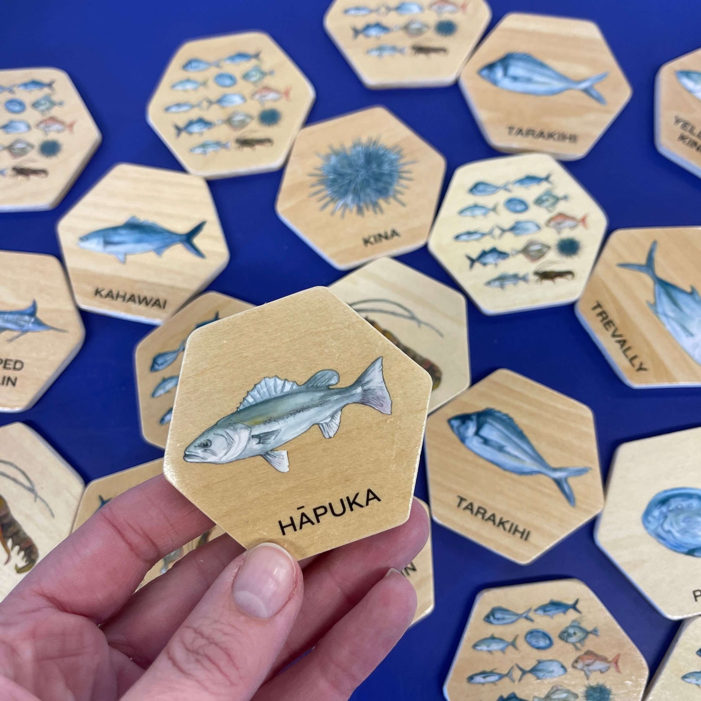 Wooden memory game pieces featuring fish of New Zealand.
