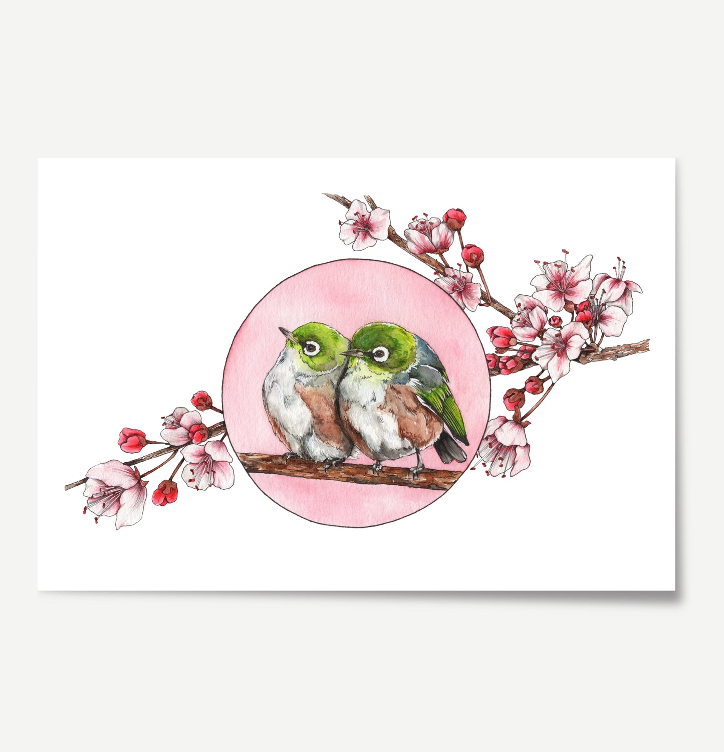 Artwork featuring 2 Waxeye birds on a branch with pink blossoms surrounding them.
