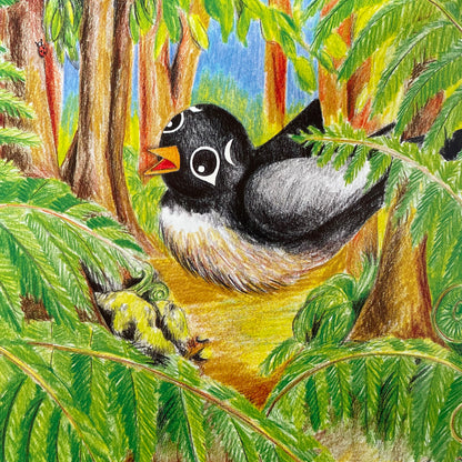 Inside pages of Abigail Fantail showing her sitting amongst native bush.