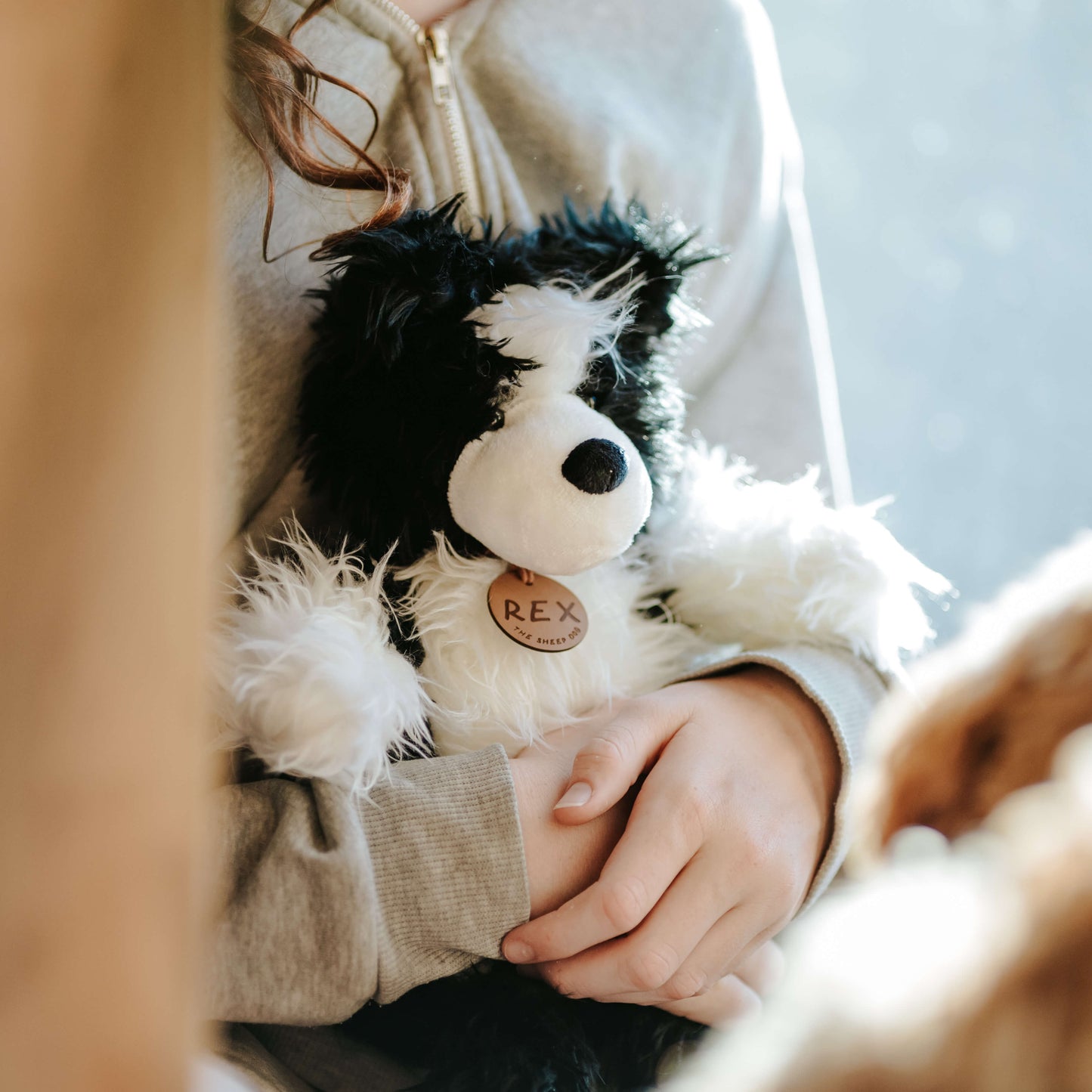 Child hands holding onto a black & white sheepdog soft toy. The toy dog has a brown leather name tag with REX on it.