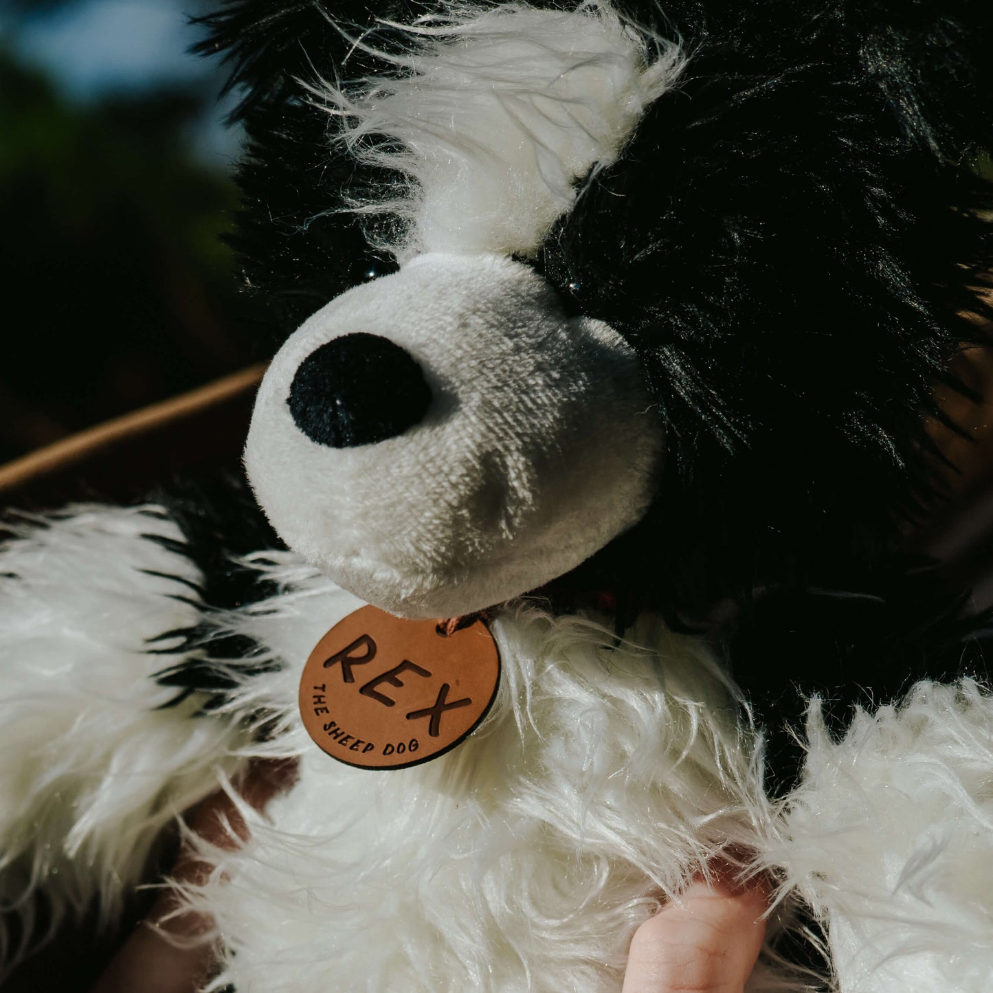 Close up picture of the face of a black & white fluffy toy sheepdog. The toy dog has a brown leather name tag with REX on it.