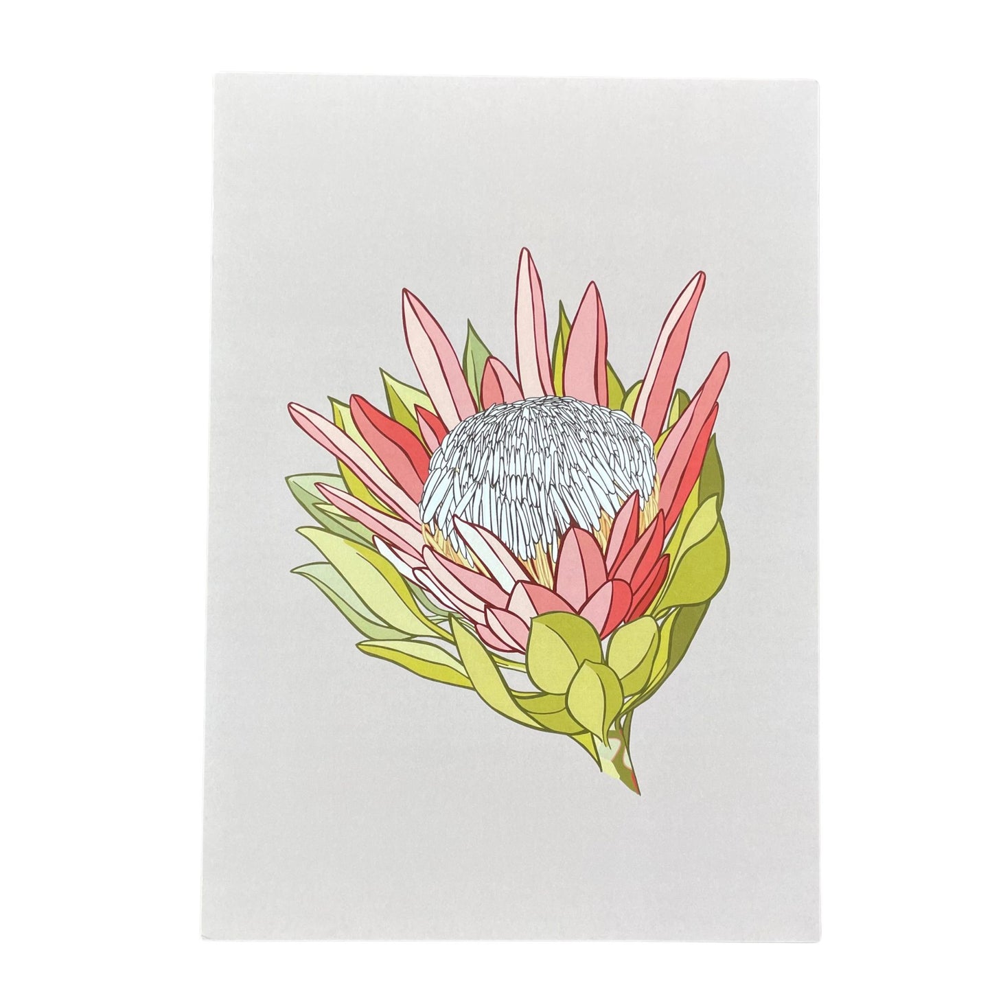 Digital print artwork by Bridget King featuring a pink King Protea flower.