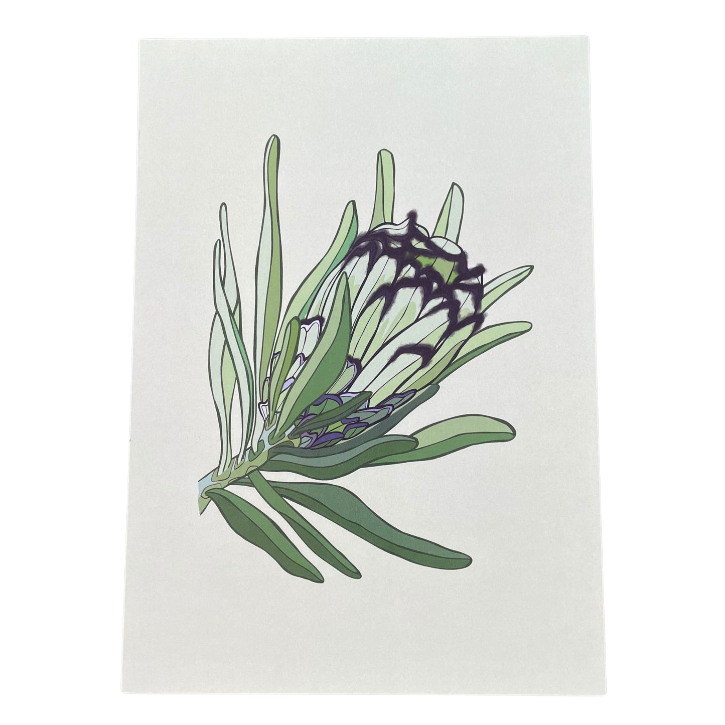 Green and Black Mink Print