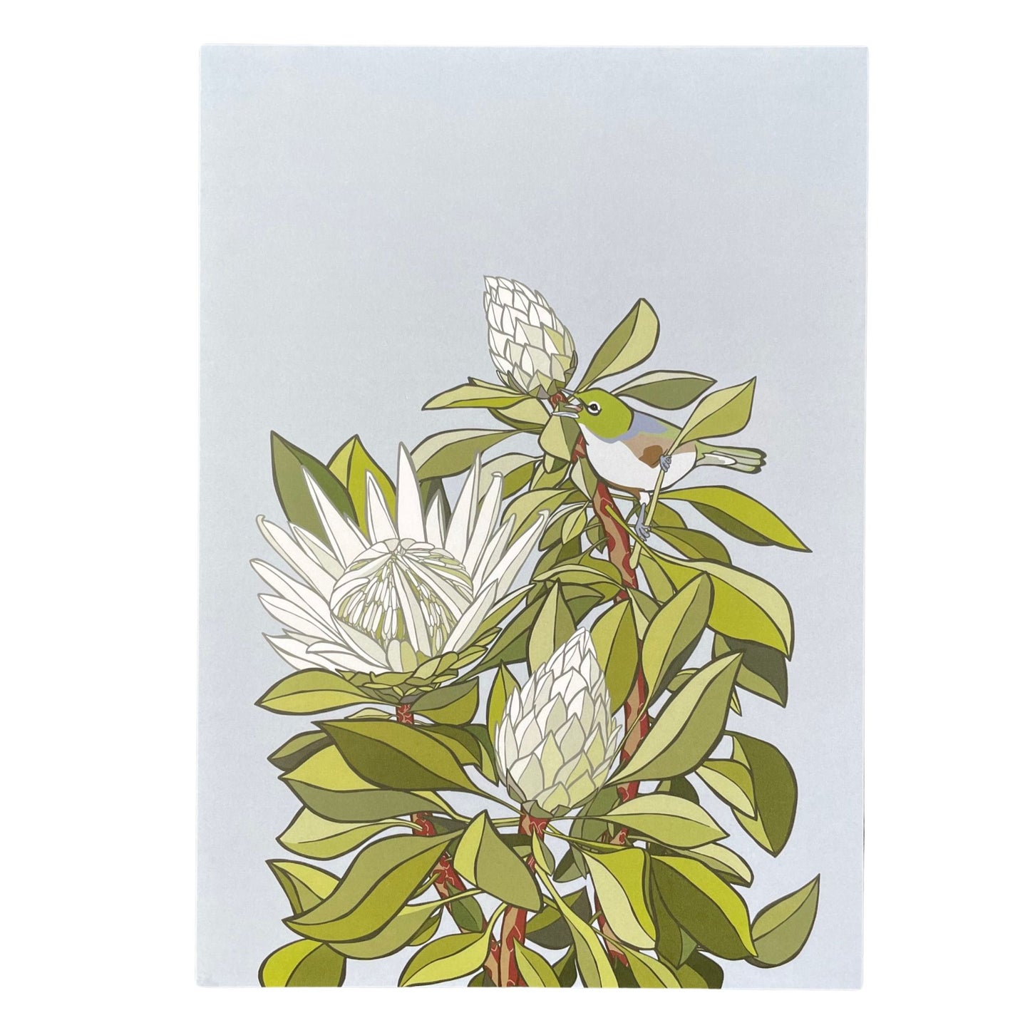 Arctic Ice & Tauhou Print