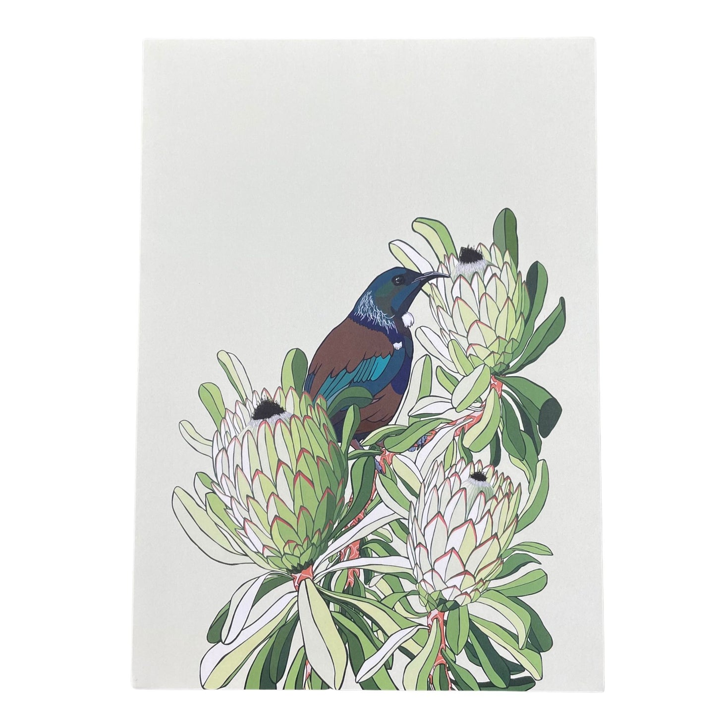 Digital art print by Bridget King featuring a Tui bird nestled amongst protea flowers.
