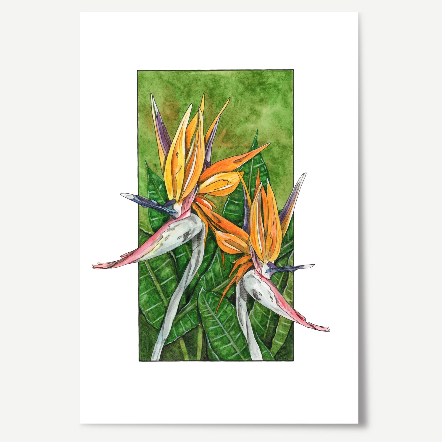 Bird of Paradise print by artist Leah Ingram.