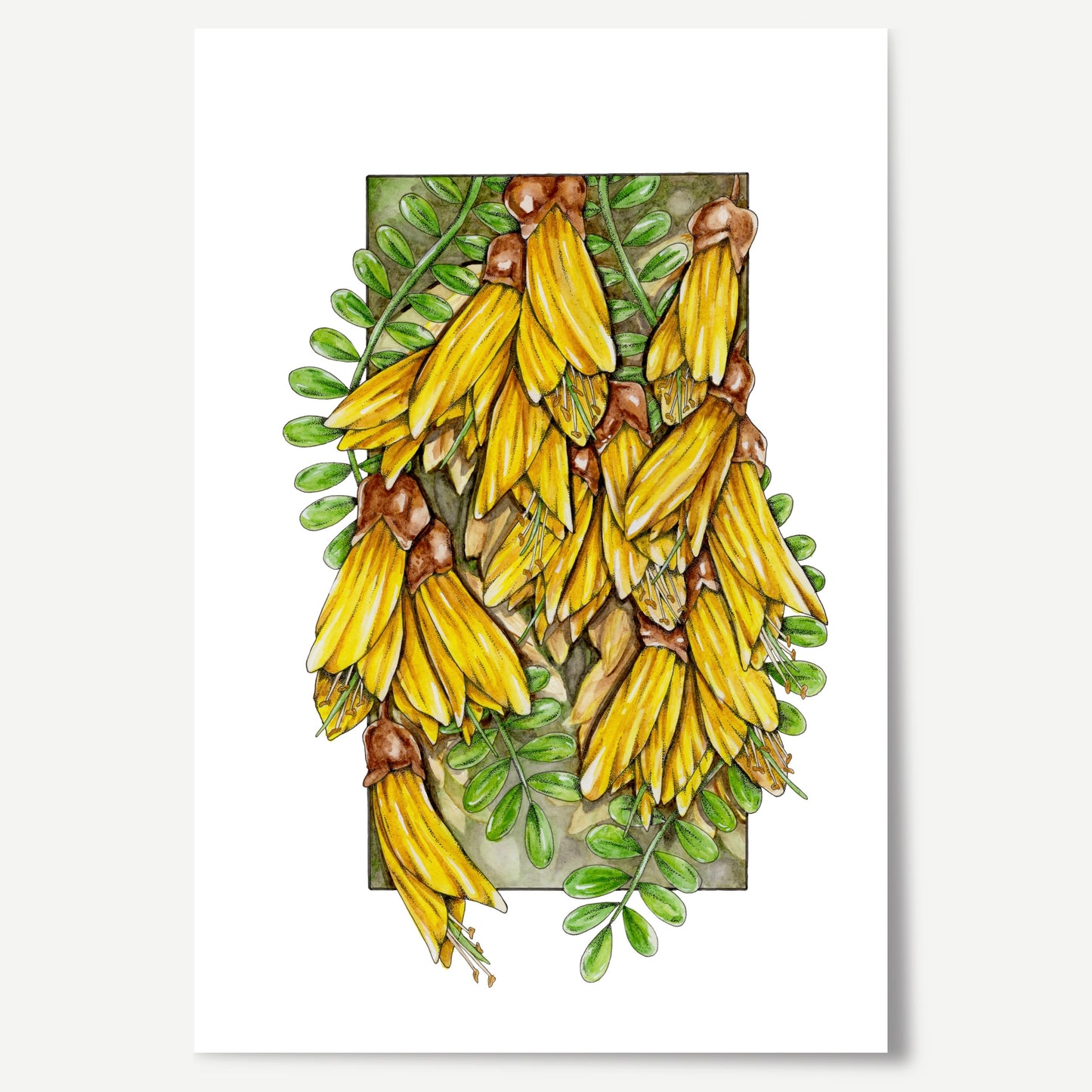 Artwork featuring yellow kowhai flowers cascading out of a frame amongst the green leaves.