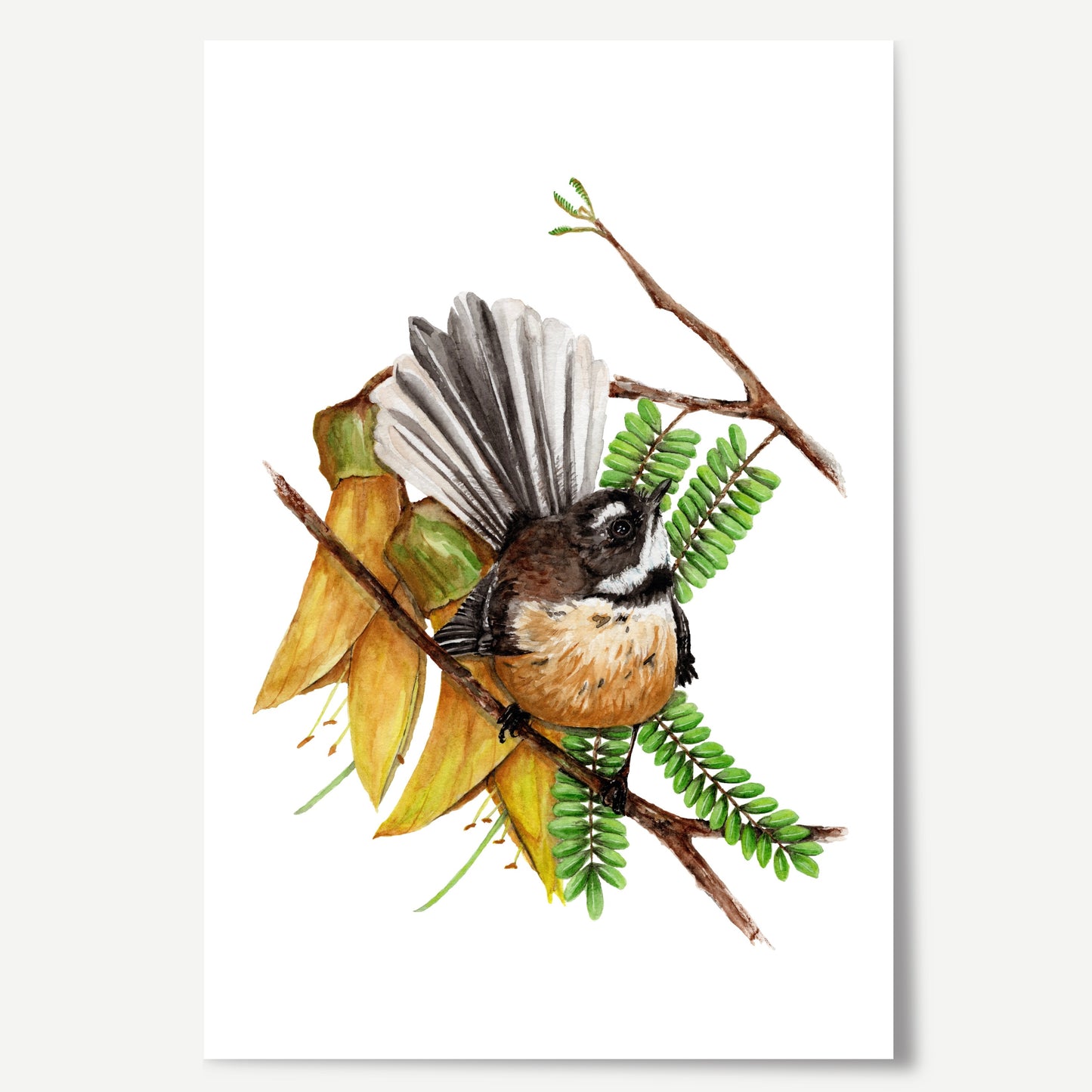 Watercolour artwork featuring a fantail bird perched amongst Kowhai flowers.