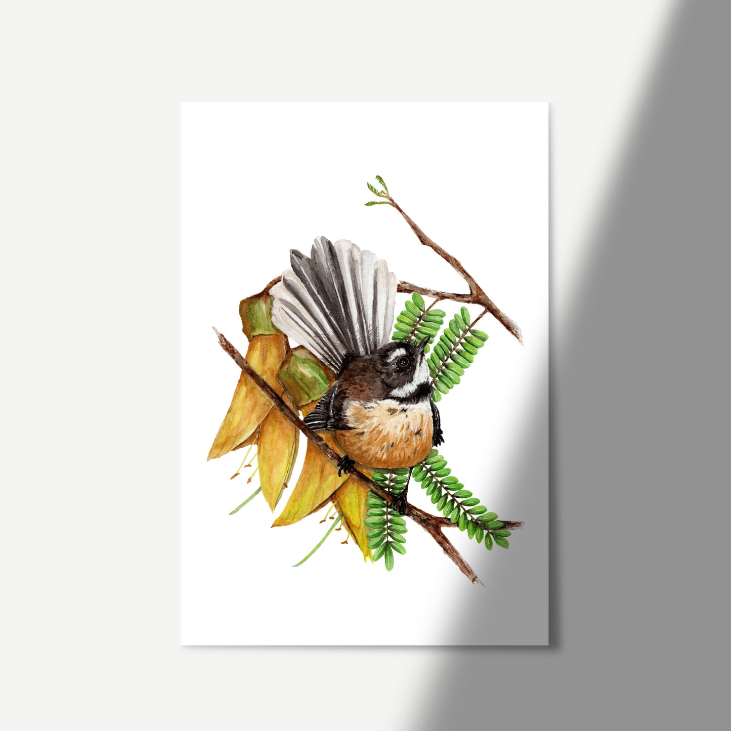 Watercolour artwork featuring a fantail bird perched amongst Kowhai flowers.