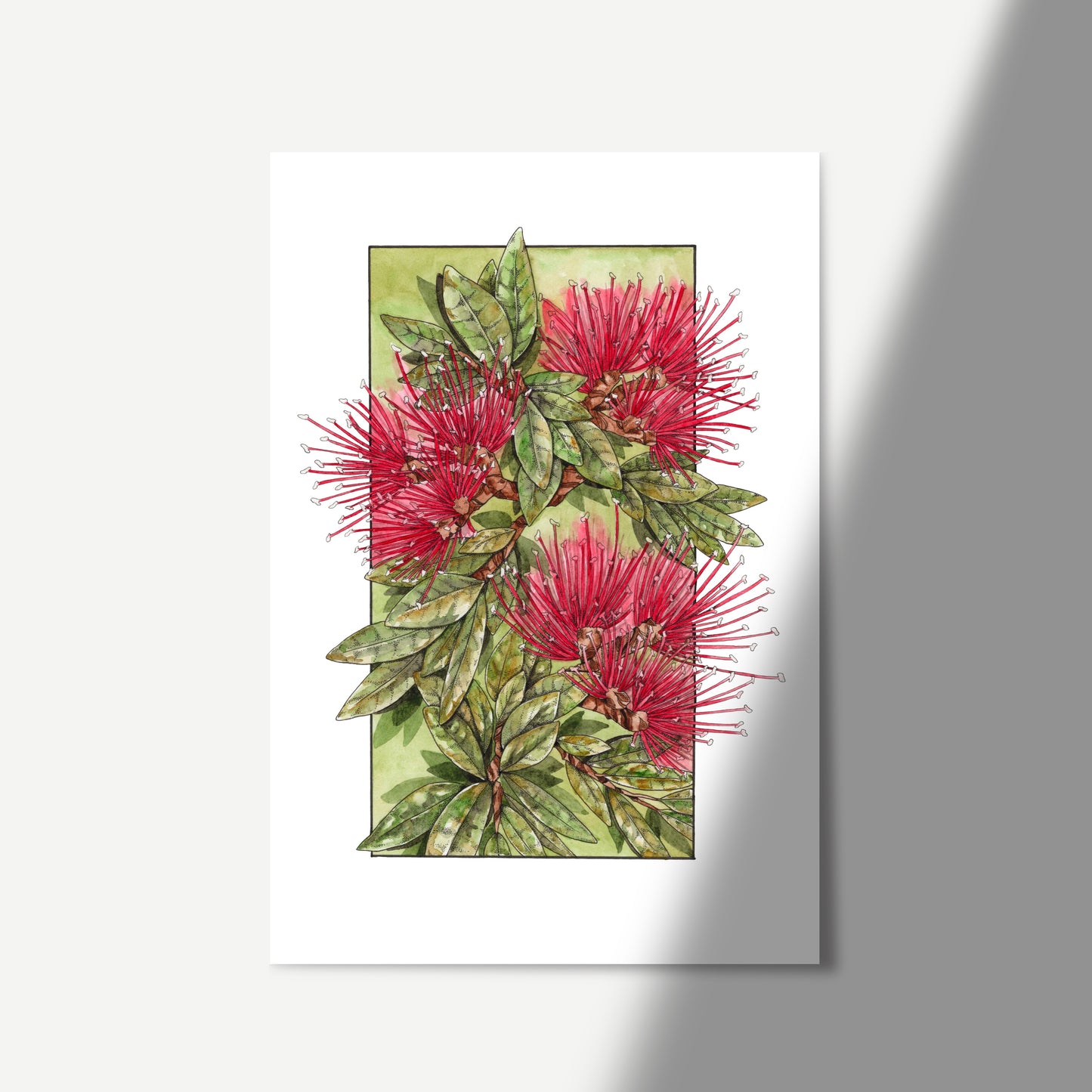 Watercolour art featuring the red pohutukawa flower and green foliage.