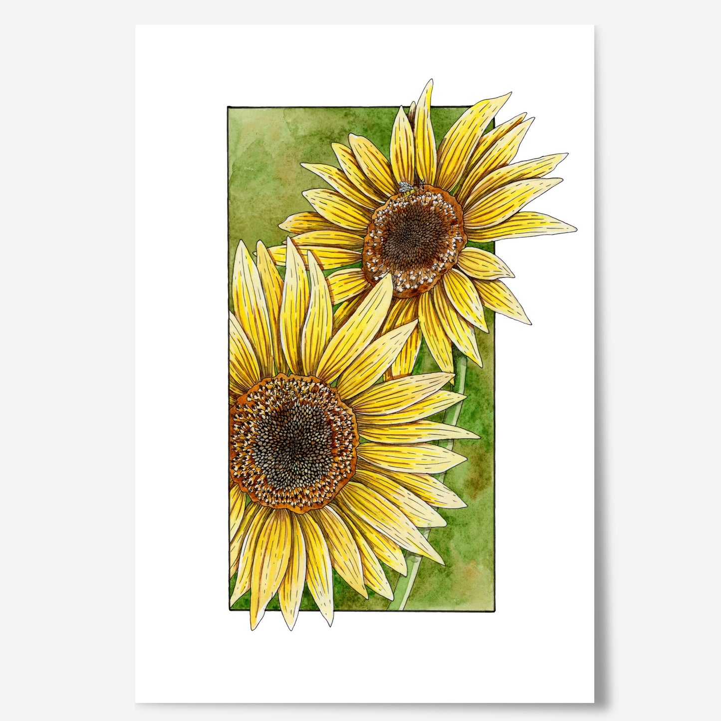 Beautiful Sunflower watercolour artwork.