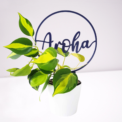 Hoop plant climbing frame with the word Aroha in the middle.
