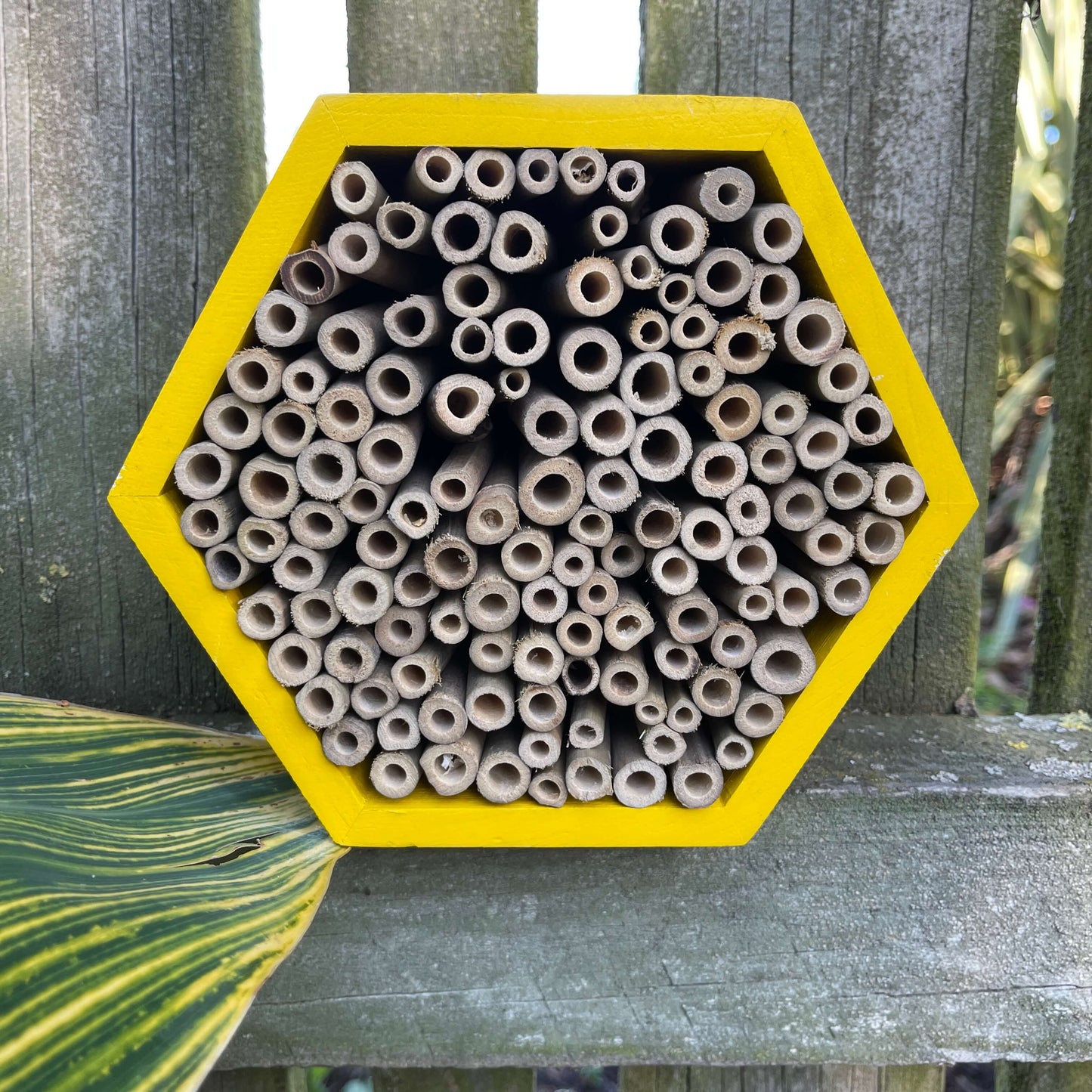 Yellow wooden hexagon bee hotel with bamboo straws.