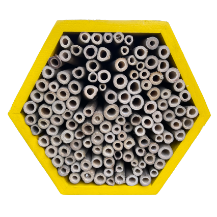 Yellow wooden hexagon bee hotel with bamboo straws.