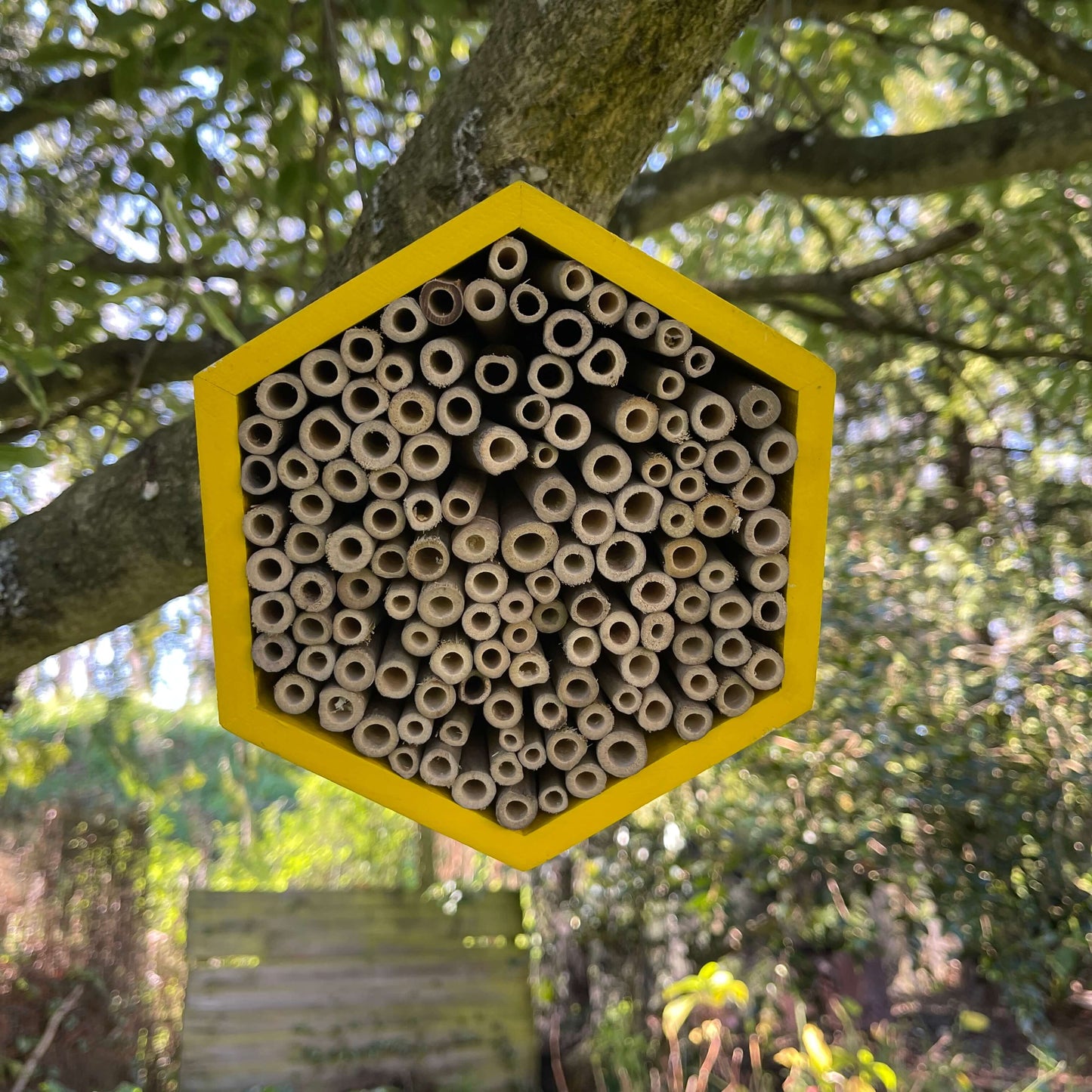 Yellow wooden hexagon bee hotel with bamboo straws.