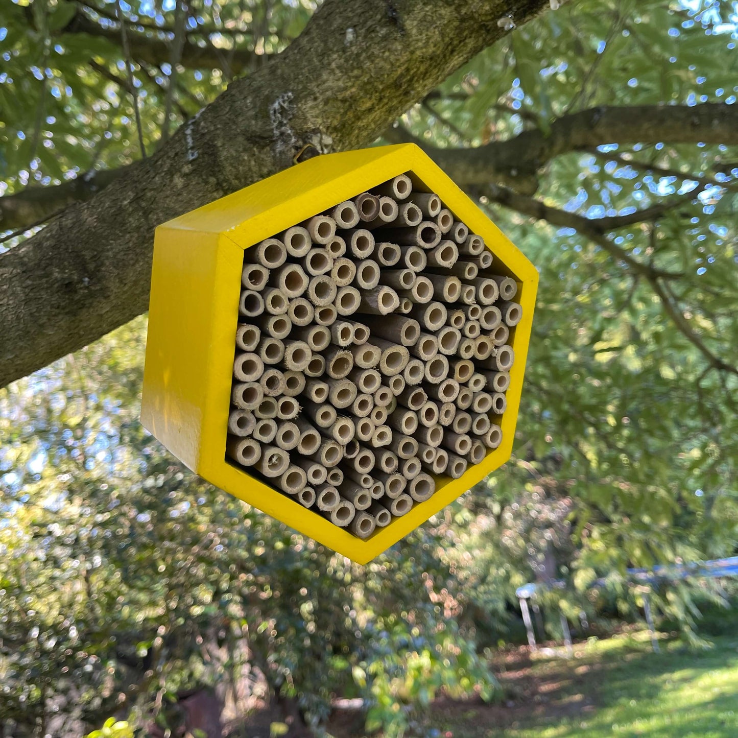 Yellow wooden hexagon bee hotel with bamboo straws.