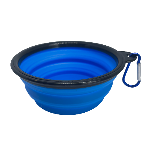 Blue silicone collapsible dog bowl.