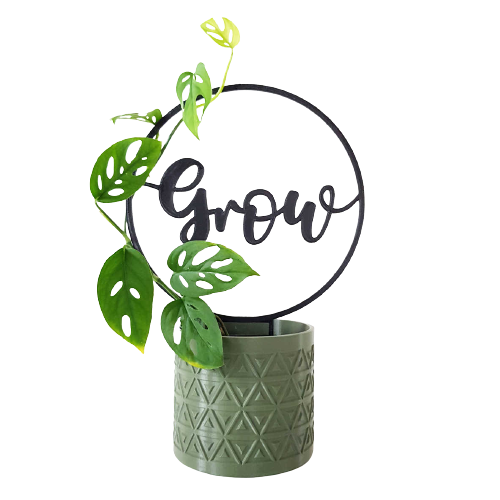 Hoop plant climbing frame with the word grow in the middle.