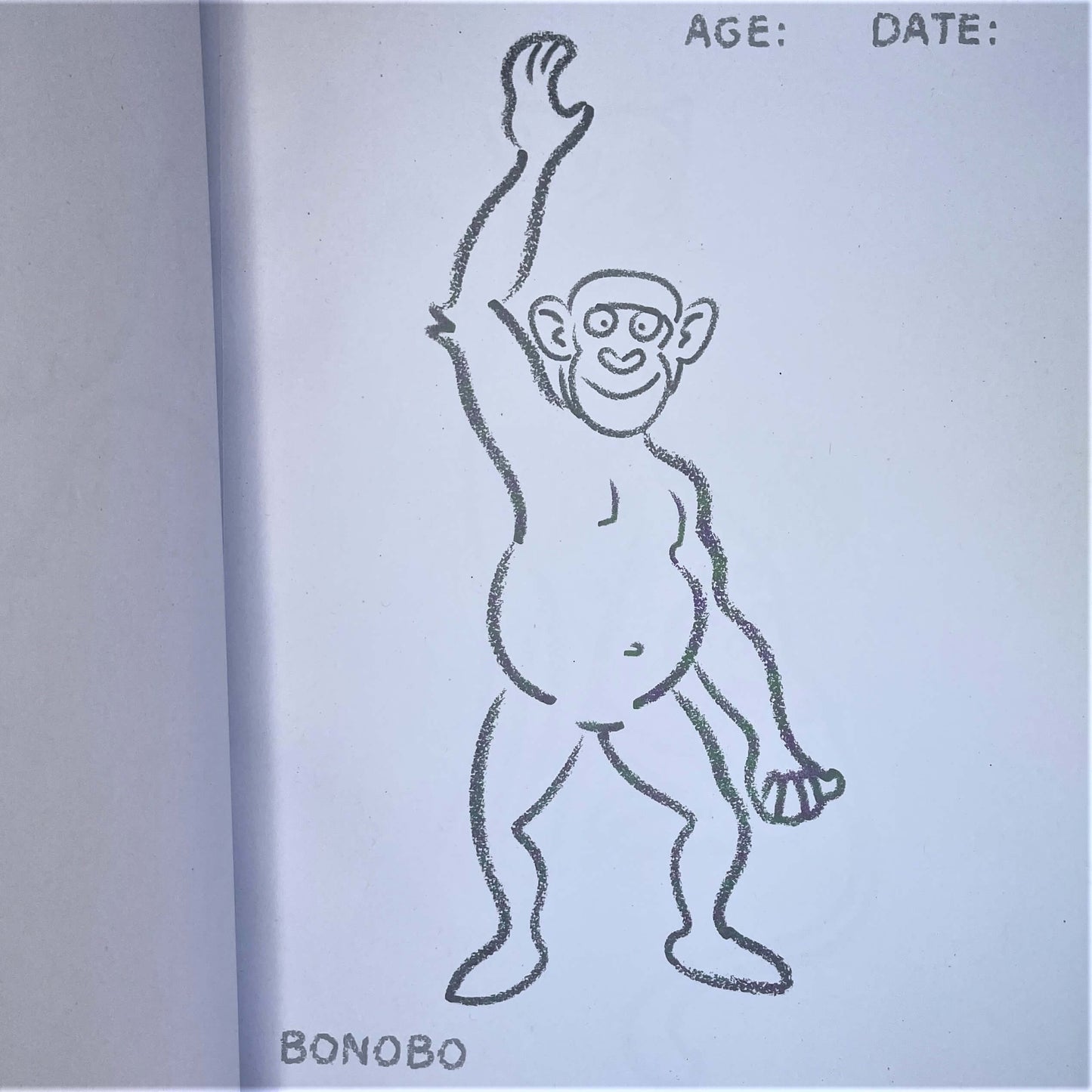 Page from toddler colouring book.
