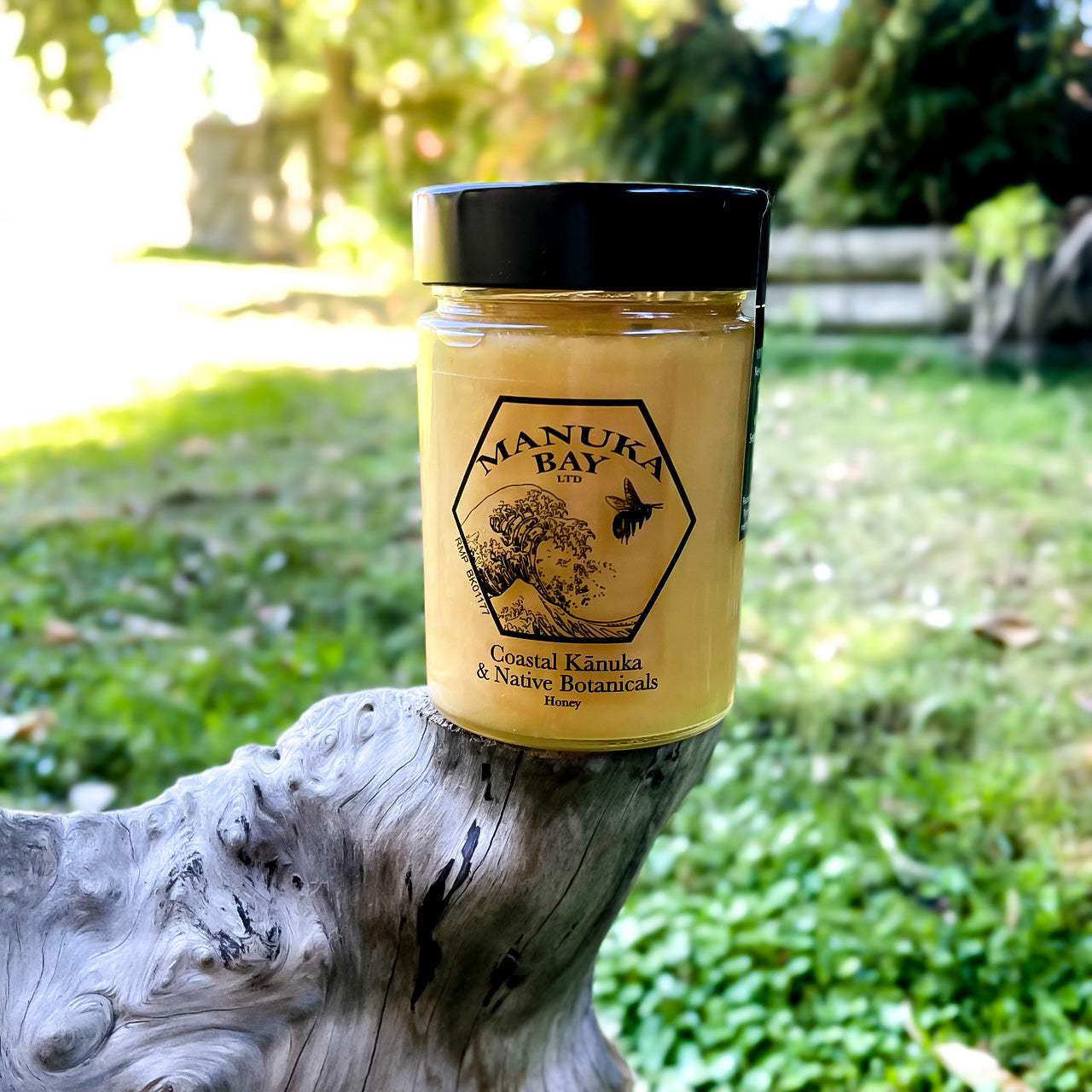 Glass jar with black lid filled with Manuka Bay Kanuka Honey.