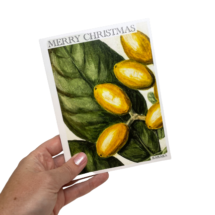 Christmas card with Karaka berries.
