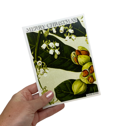Christmas card with Kohekohe flowers.