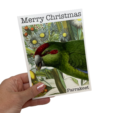 Christmas card with a Parrakeet and flowers.
