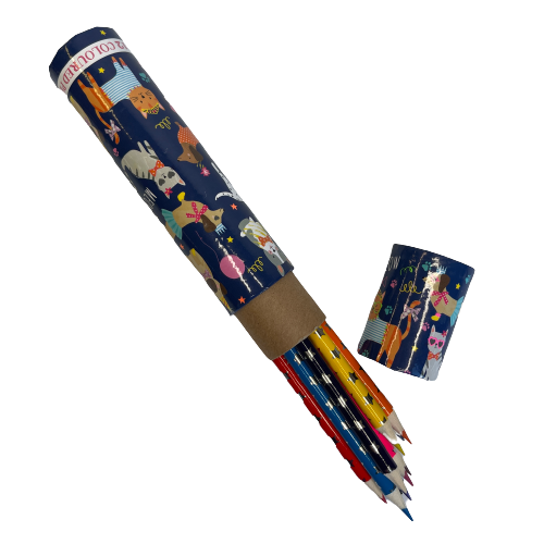 Kids colouring pencils in a cardboard tube with cat and dog theme packaging.