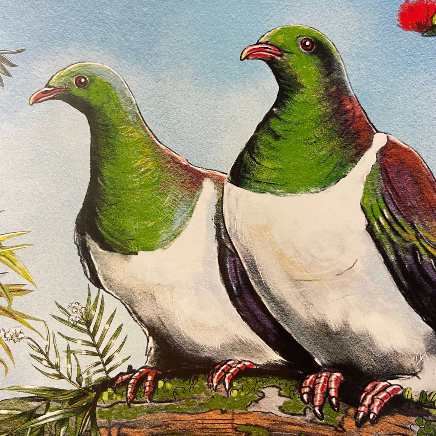 Pohutukawa and Kereru jigsaw puzzle.