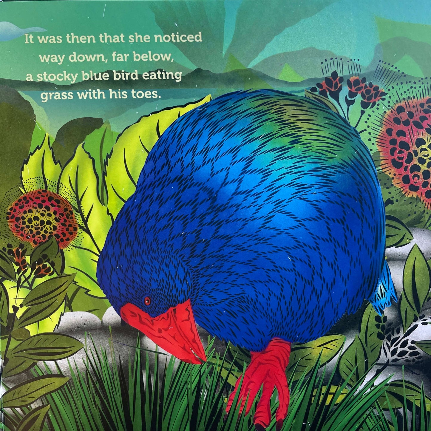 Page from Children's book Tu Meke Tui by Malcolm Clarke and illustrated by Flox.
