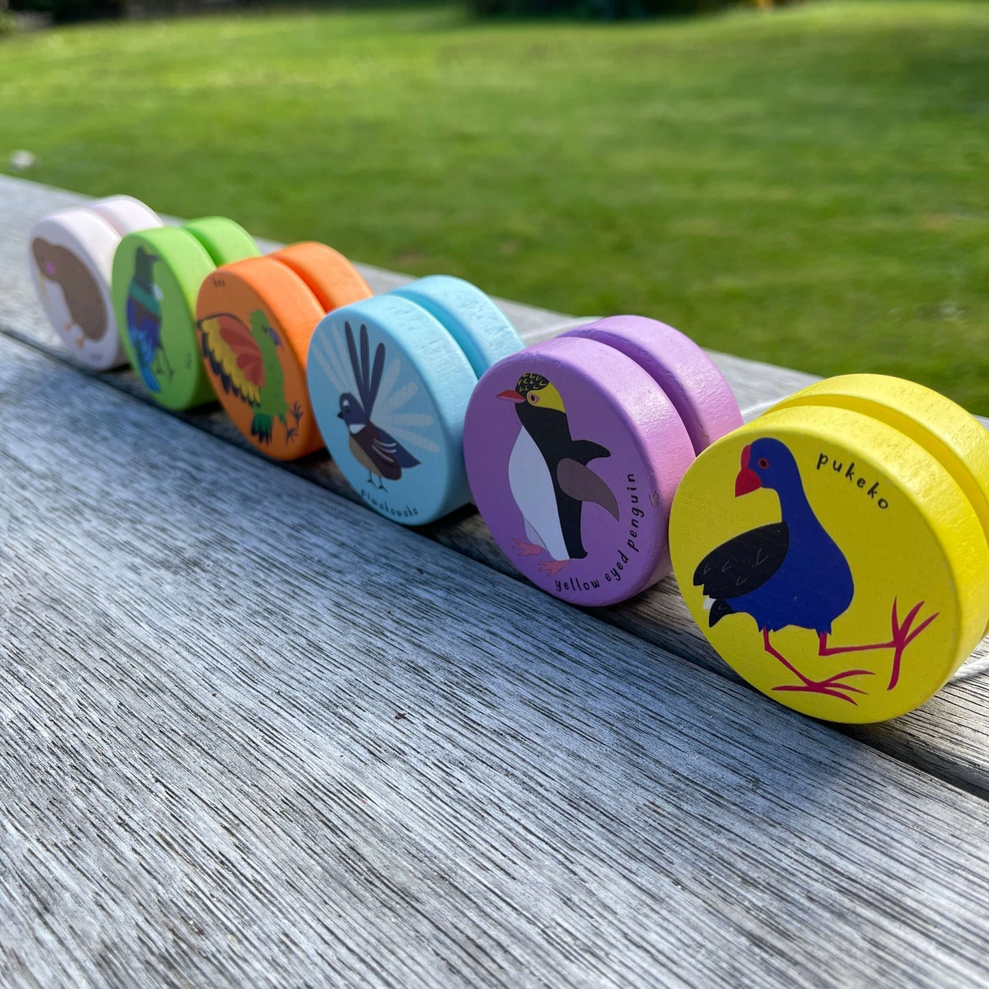 Six wooden yoyos in a variety of colours with birds of New Zealand painted on them.