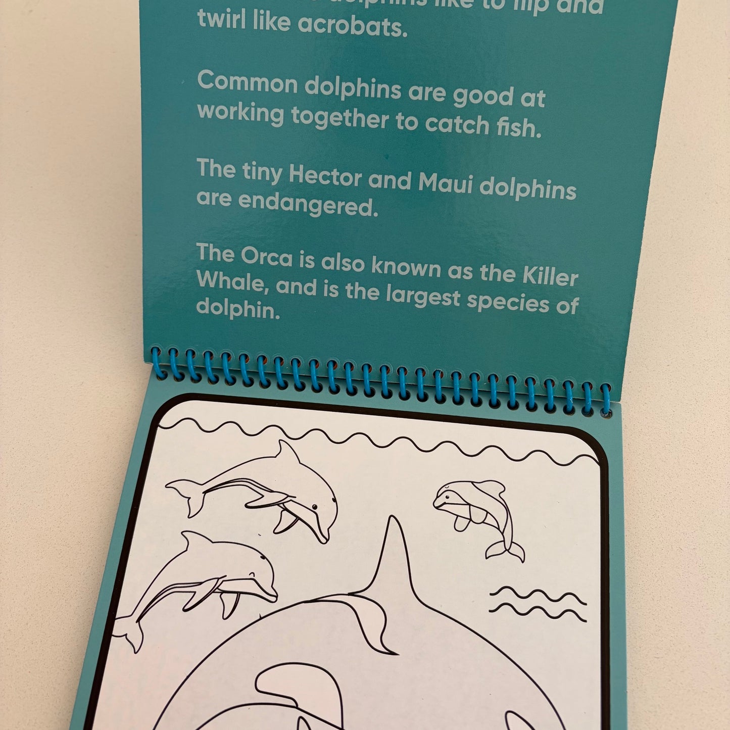 A spiral-bound children's coloring book or activity booklet with teal pages featuring dolphin illustrations and text about dolphins, photographed on a light neutral background.