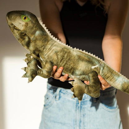 Trevor the Tuatara - Soft Toy