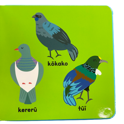 Page from a childrens book featuring 3 birds, the Kereru, Kokako and Tui.