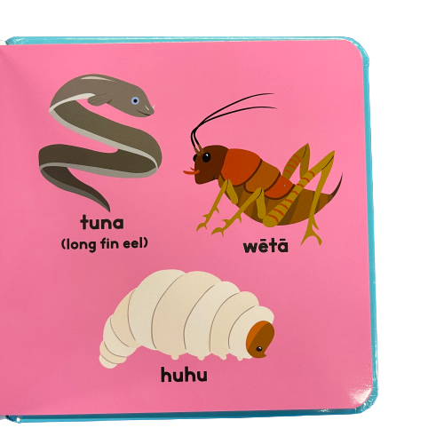 Page from a childrens book showing an eel, weta and huhu grub.