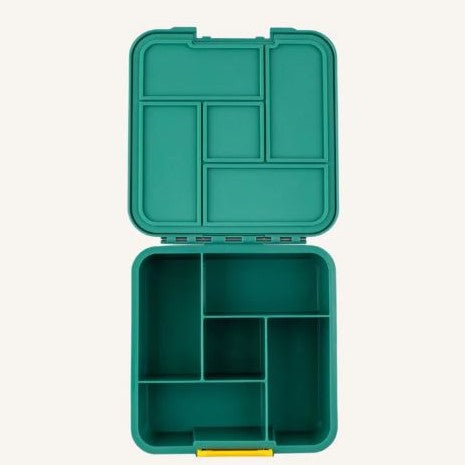 Empty green bento style lunch box with 5 seperate compartment for snacks.