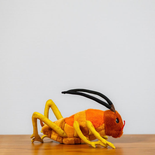 Wiremu the Weta - Soft Toy