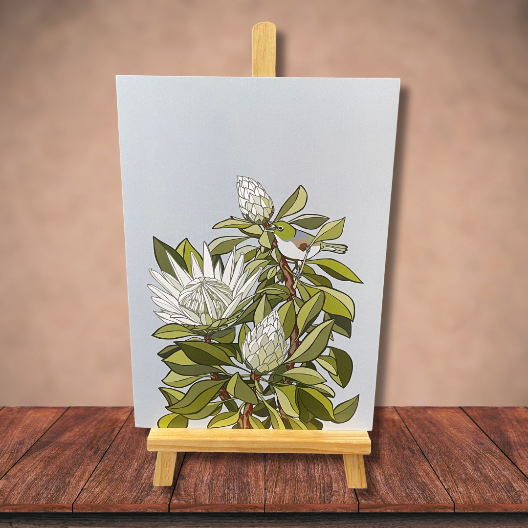 Digital print art by Bridget King featuring a Tahou bird amongst white Protea flowers.