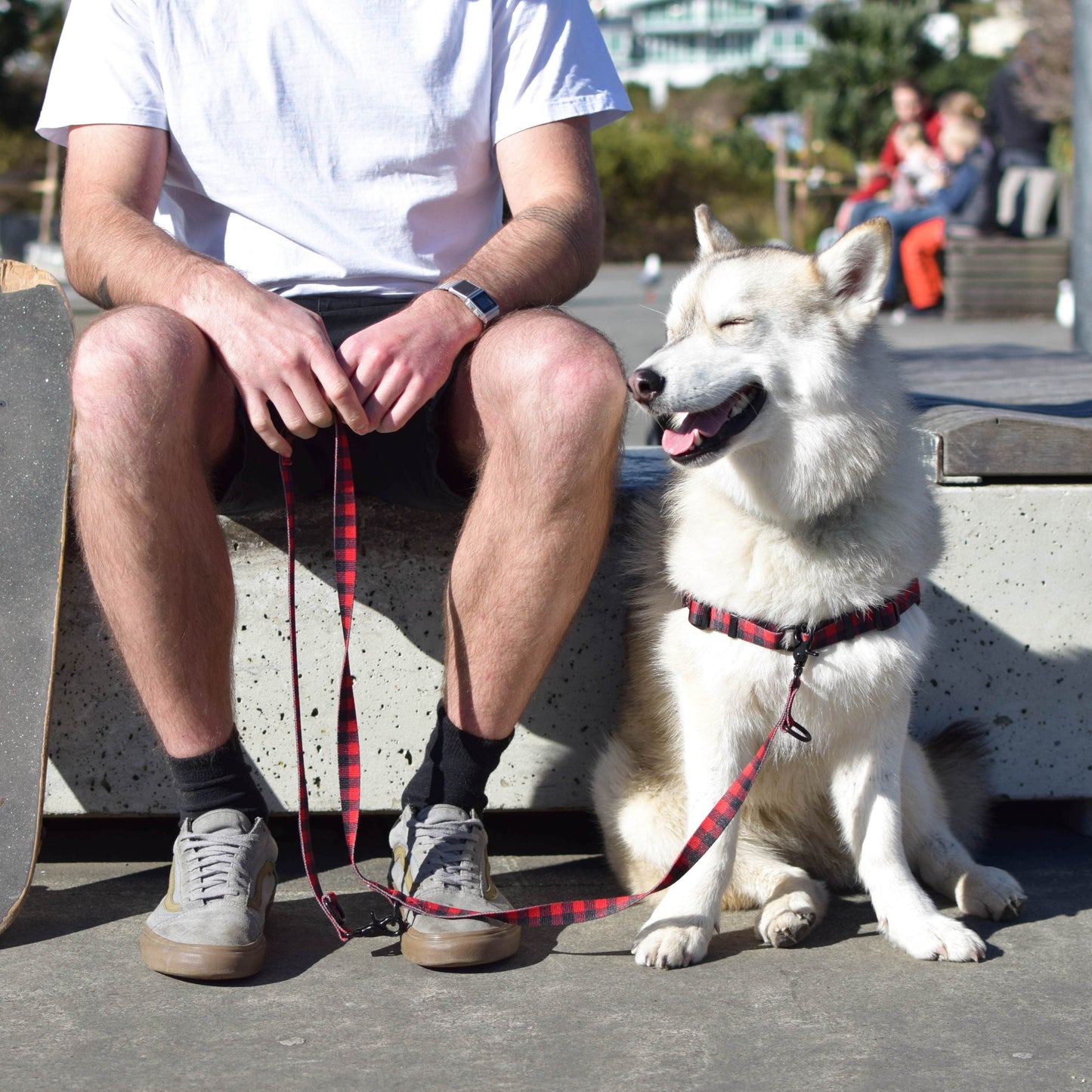 Man and dog sitting at a skate park. Man is holding a red and black checked dog leash.