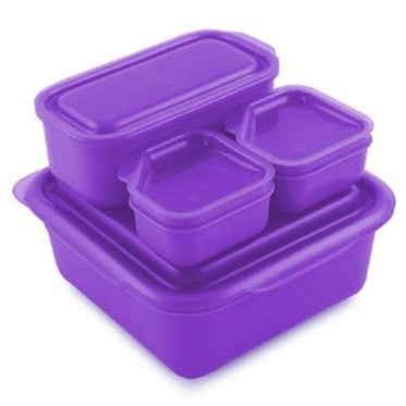 Goodbyn Portions On The Go - Purple