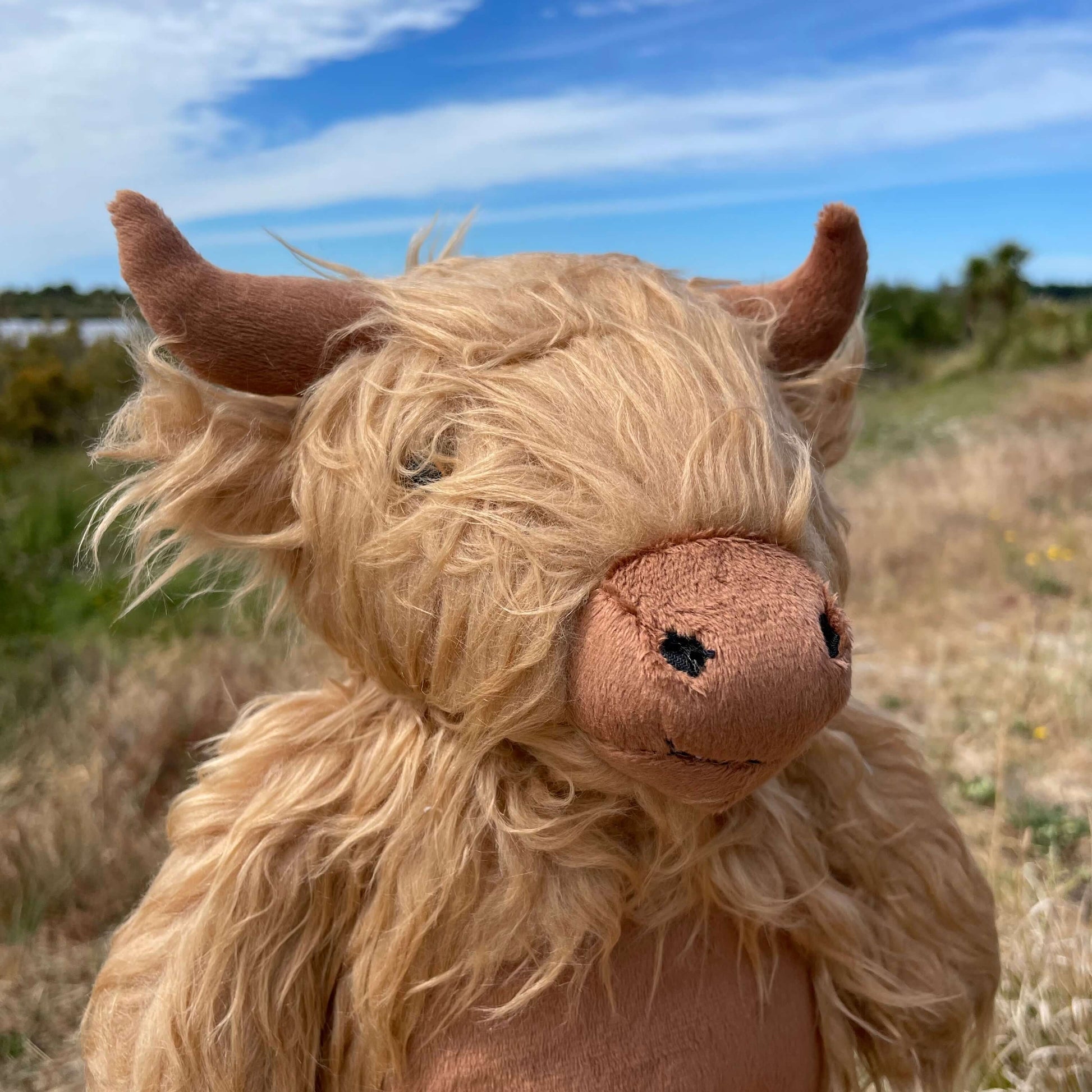 Close up of a soft toy Highland Cow sitting on a fence post wiith an estuary view behind it. The toy has a shaggy light brown fur, darker brown horns, nose and tummy. 
