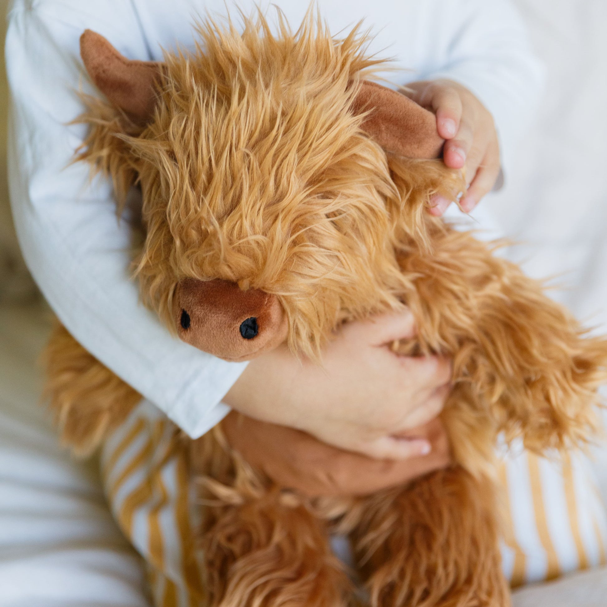 Childs arm wrapped around a soft toy Highland Cow.