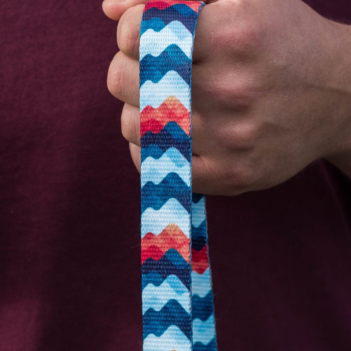 Close up of a hand holding an orange and blue wave patterned dog leash.