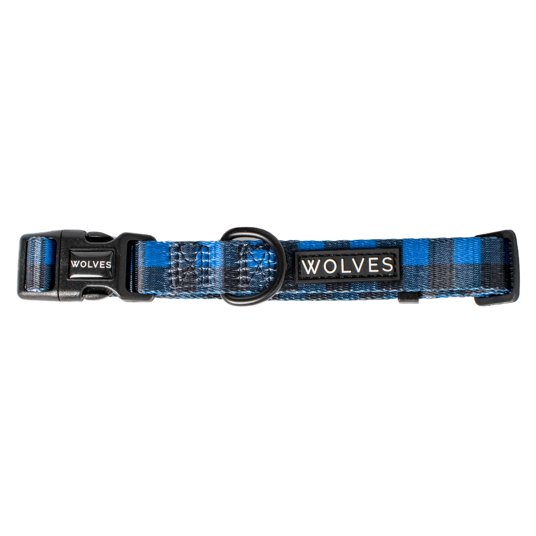 Blue & black checked dog collar with "Wolves" logo.