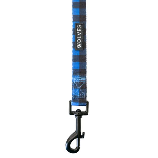 Blue and black checkered dog leash.