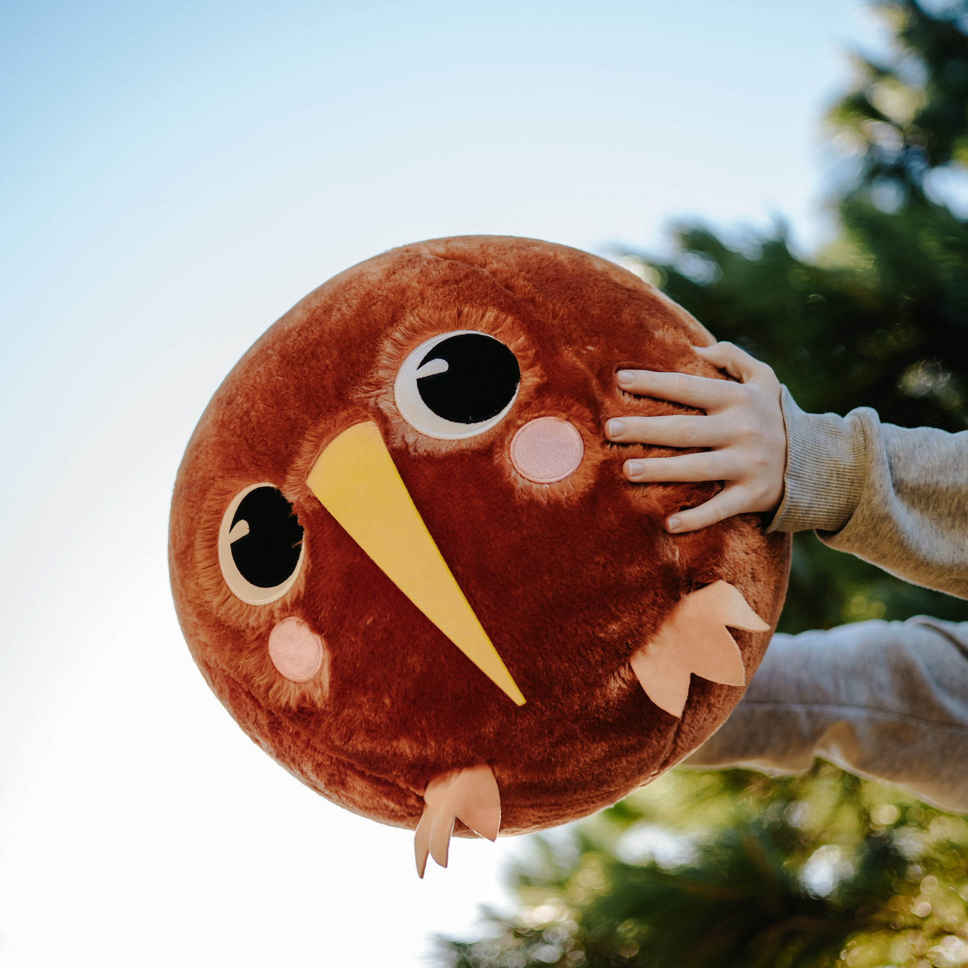 Childs hands holding onto a plush inflatable Kiwi bird ball.