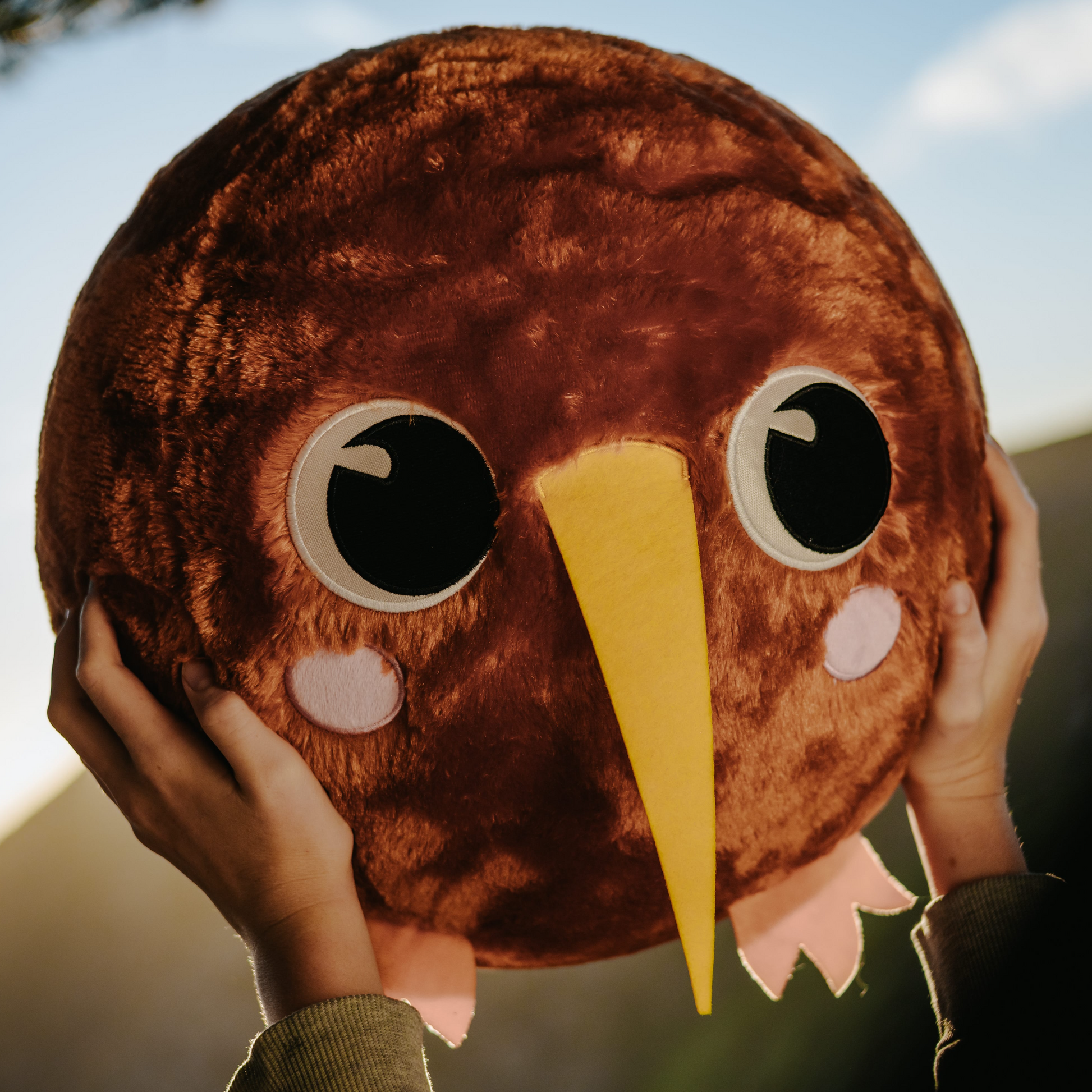 Childs hands holding onto a brown plush inflatable Kiwi bird ball.